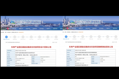 東岸產(chǎn)業(yè)園區(qū)基礎(chǔ)設(shè)施綜合改造項目獲批立項