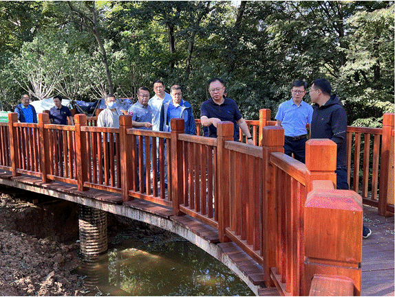 拉高標(biāo)桿塑精品   加壓奮進(jìn)齊攻堅(jiān)——集團(tuán)公司黨委書記、董事長王元斌調(diào)研太平山項(xiàng)目建設(shè)