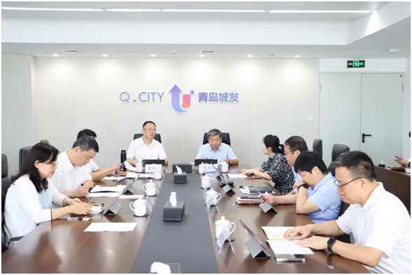 城發(fā)集團召開調研成果交流暨典型案例剖析會